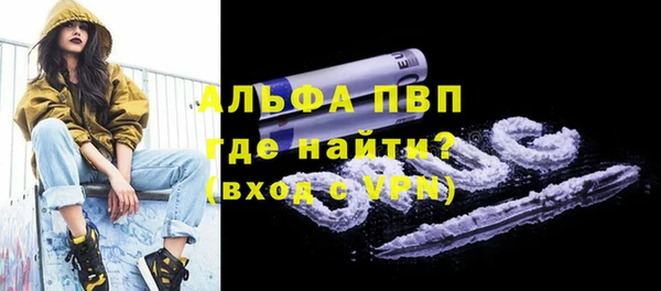 стафф Арсеньев