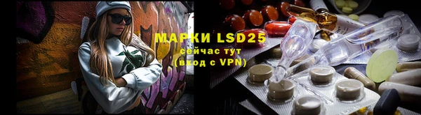 спайс Аркадак